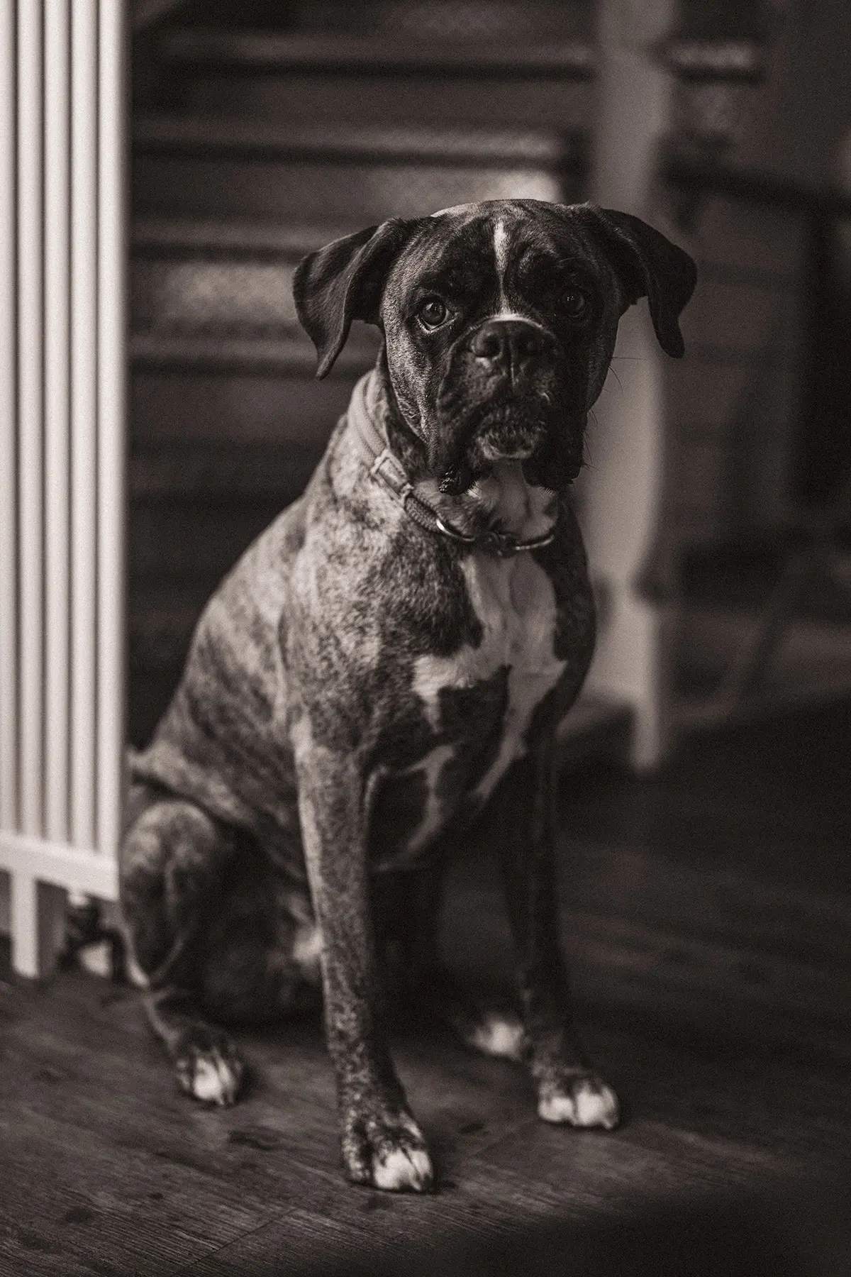 Friseur Die Haarmacherei Team Beat